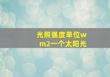 光照强度单位wm2一个太阳光