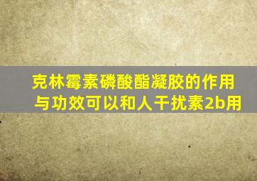 克林霉素磷酸酯凝胶的作用与功效可以和人干扰素2b用