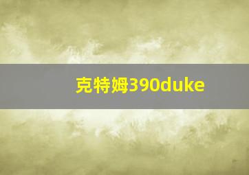 克特姆390duke