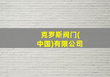 克罗斯阀门(中国)有限公司