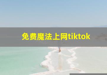 免费魔法上网tiktok