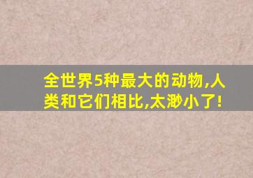 全世界5种最大的动物,人类和它们相比,太渺小了!