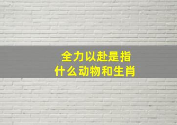 全力以赴是指什么动物和生肖