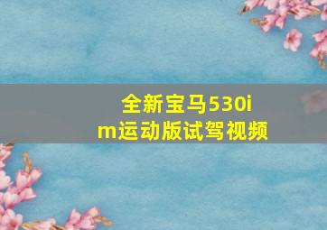 全新宝马530im运动版试驾视频