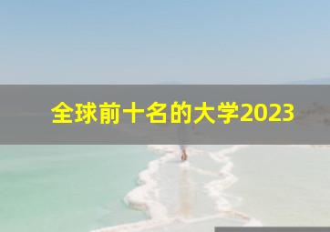 全球前十名的大学2023