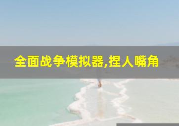 全面战争模拟器,捏人嘴角