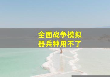 全面战争模拟器兵种用不了