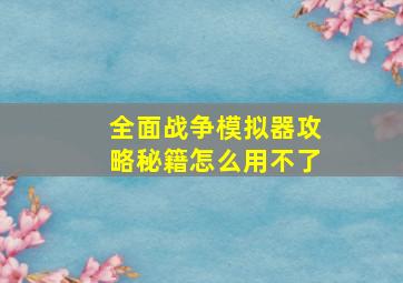 全面战争模拟器攻略秘籍怎么用不了