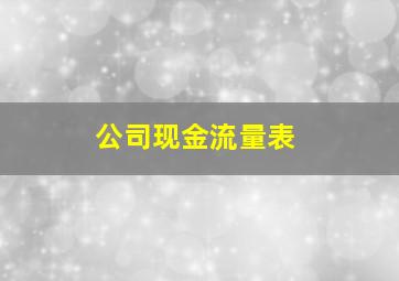 公司现金流量表