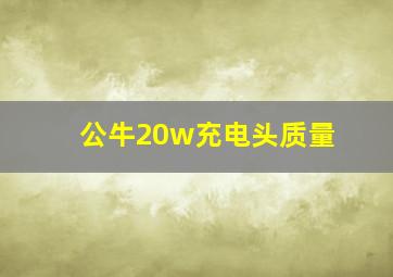 公牛20w充电头质量