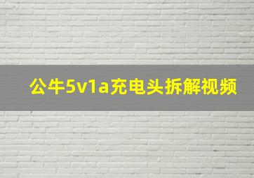 公牛5v1a充电头拆解视频