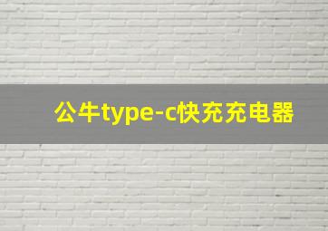 公牛type-c快充充电器