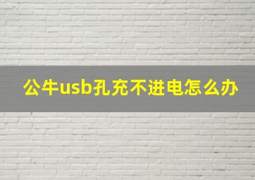 公牛usb孔充不进电怎么办