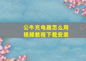 公牛充电器怎么用视频教程下载安装