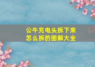 公牛充电头拆下来怎么拆的图解大全