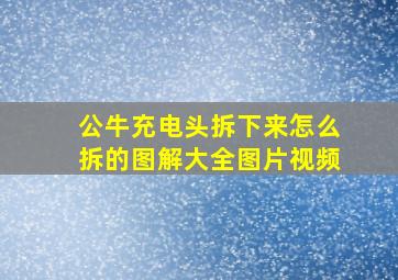 公牛充电头拆下来怎么拆的图解大全图片视频