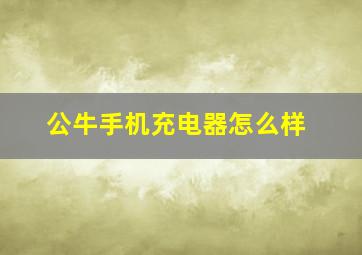 公牛手机充电器怎么样