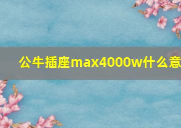 公牛插座max4000w什么意思