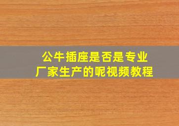 公牛插座是否是专业厂家生产的呢视频教程