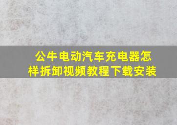 公牛电动汽车充电器怎样拆卸视频教程下载安装