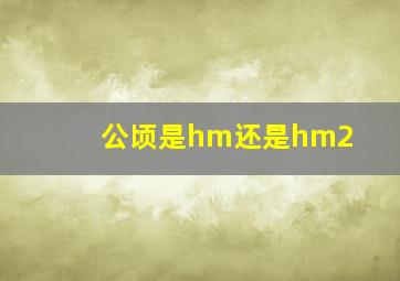 公顷是hm还是hm2