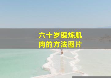 六十岁锻炼肌肉的方法图片