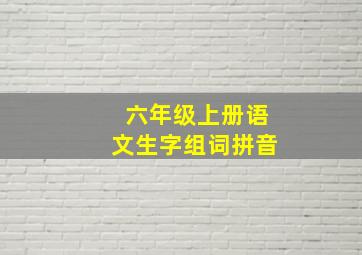 六年级上册语文生字组词拼音