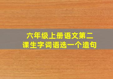 六年级上册语文第二课生字词语选一个造句