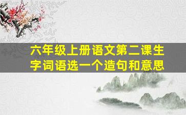 六年级上册语文第二课生字词语选一个造句和意思