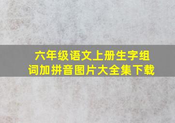 六年级语文上册生字组词加拼音图片大全集下载