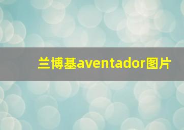 兰博基aventador图片