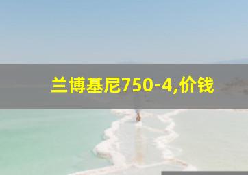 兰博基尼750-4,价钱