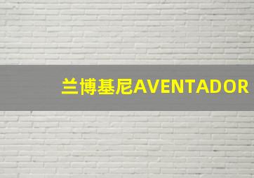 兰博基尼AVENTADOR