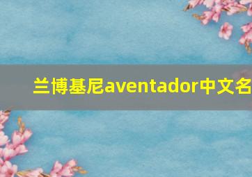 兰博基尼aventador中文名