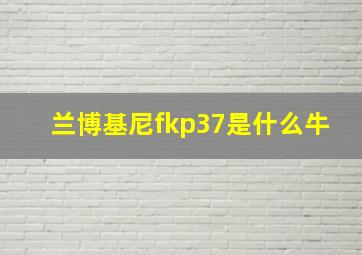 兰博基尼fkp37是什么牛