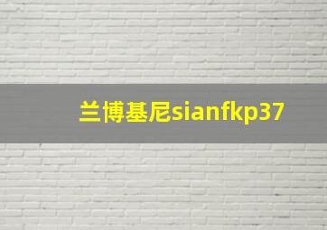 兰博基尼sianfkp37