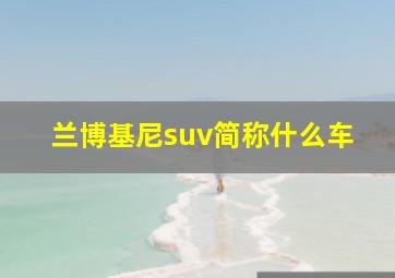 兰博基尼suv简称什么车