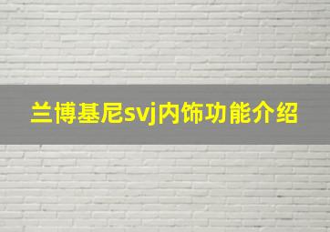 兰博基尼svj内饰功能介绍