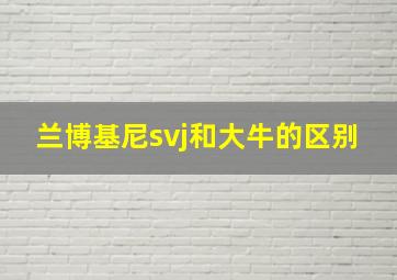 兰博基尼svj和大牛的区别