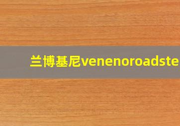 兰博基尼venenoroadster,