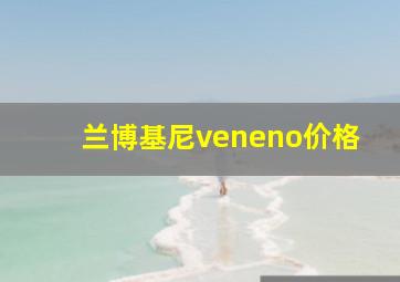 兰博基尼veneno价格