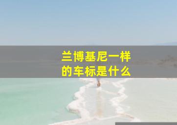 兰博基尼一样的车标是什么