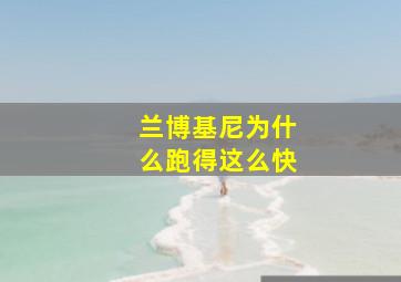 兰博基尼为什么跑得这么快