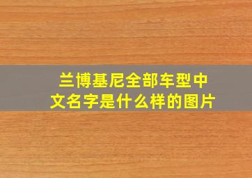 兰博基尼全部车型中文名字是什么样的图片