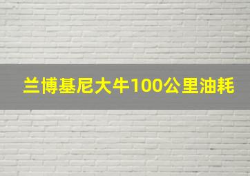 兰博基尼大牛100公里油耗