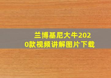 兰博基尼大牛2020款视频讲解图片下载