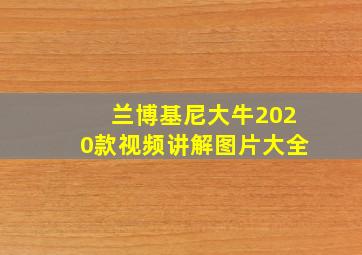 兰博基尼大牛2020款视频讲解图片大全