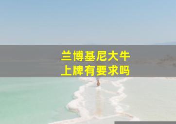 兰博基尼大牛上牌有要求吗