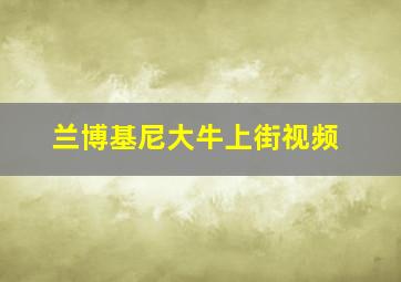 兰博基尼大牛上街视频