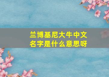 兰博基尼大牛中文名字是什么意思呀